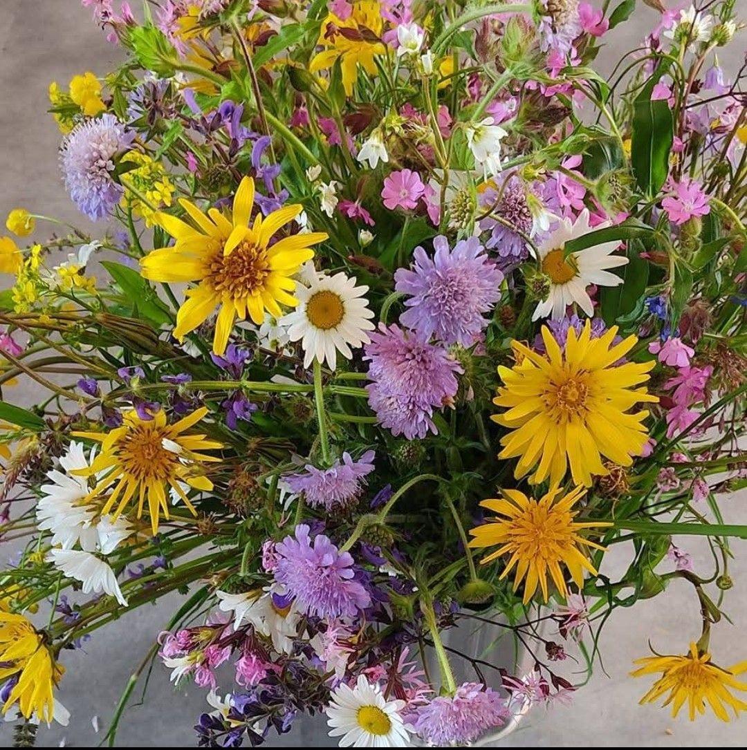 Bon dimanche.. bouquet de fleurs des champs.